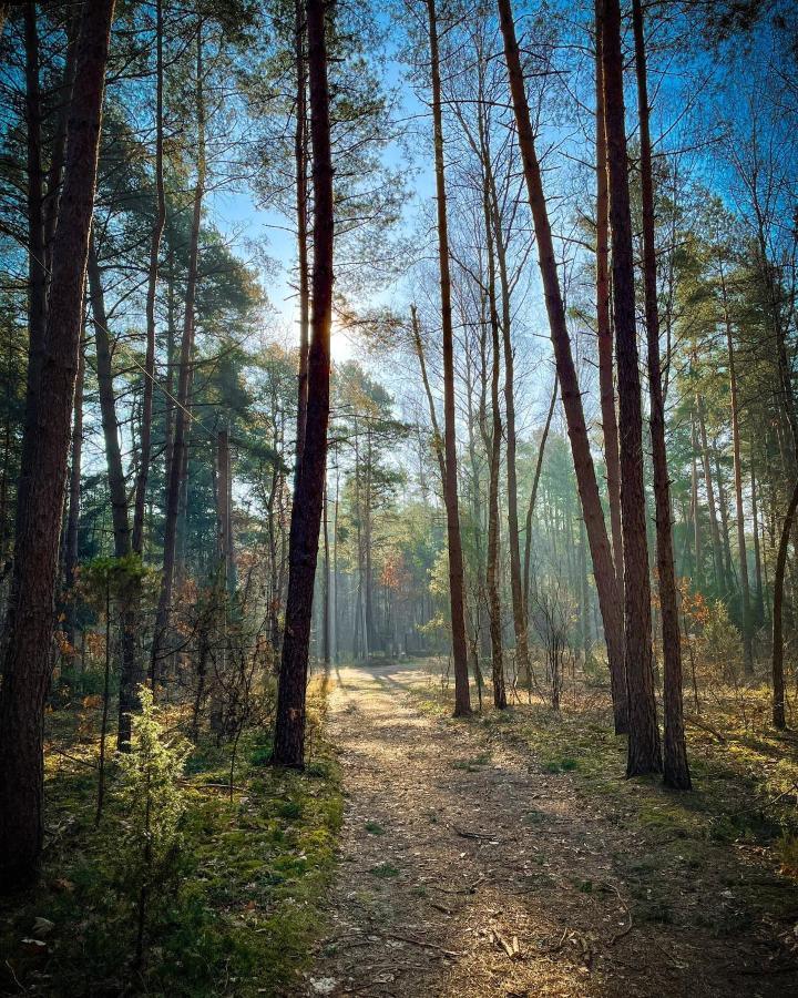 Park Rekreacyjno-Biznesowy Las Woda Wilga Exterior foto